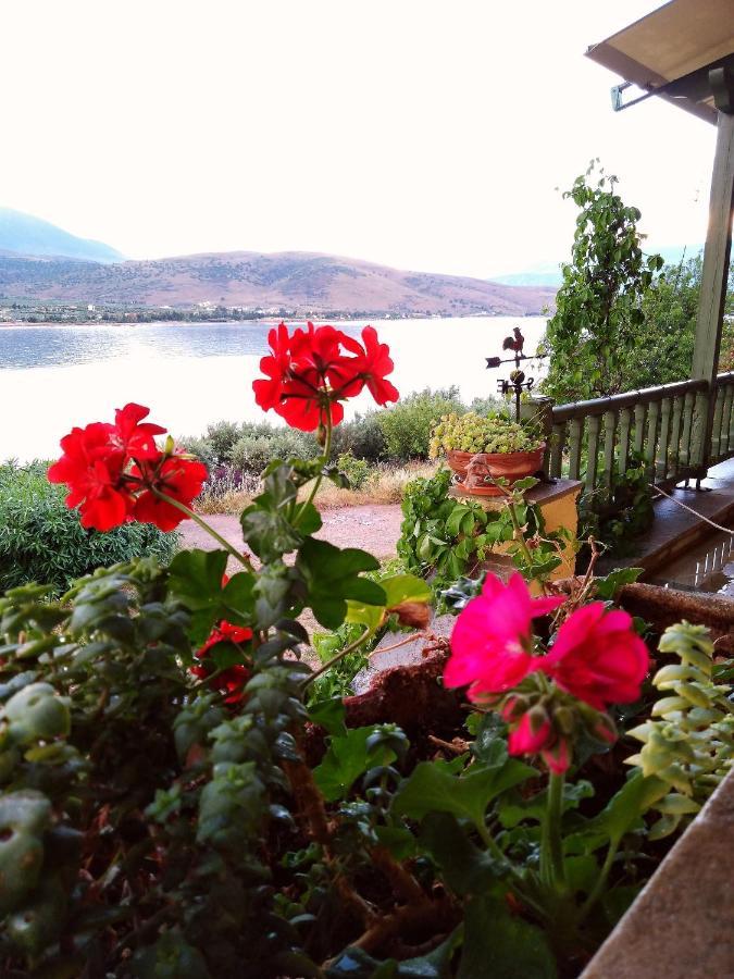 Aphrodite'S Coast Retreat House! Galaxidi Bagian luar foto