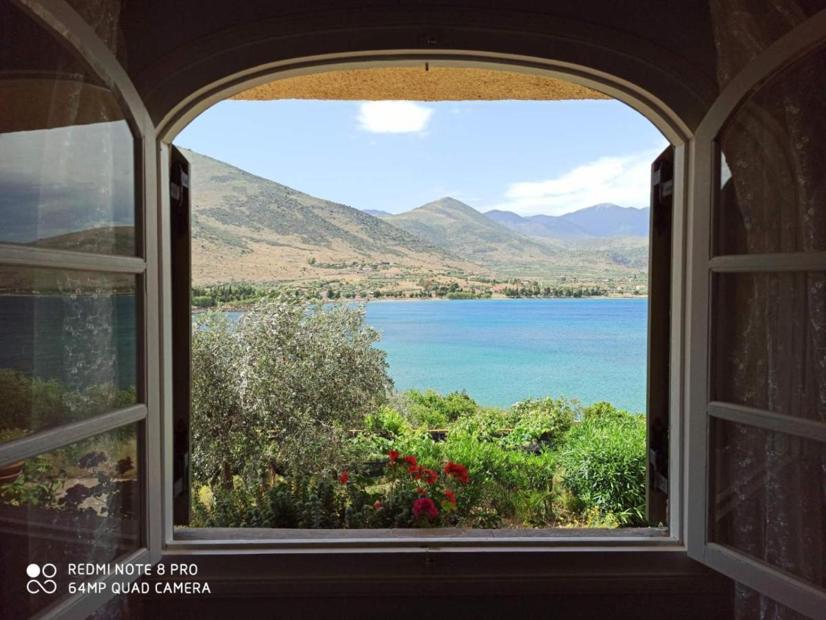 Aphrodite'S Coast Retreat House! Galaxidi Bagian luar foto