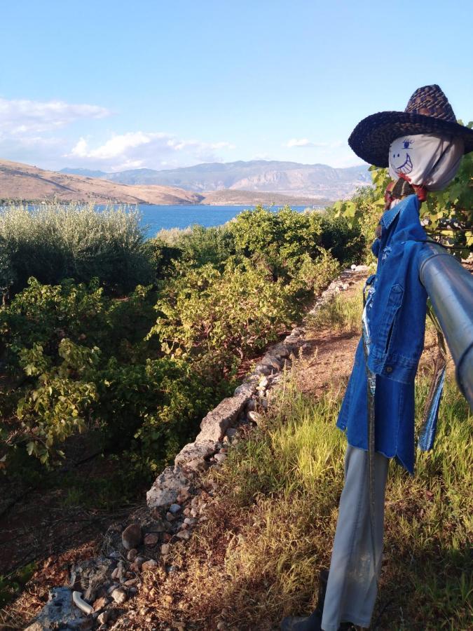 Aphrodite'S Coast Retreat House! Galaxidi Bagian luar foto