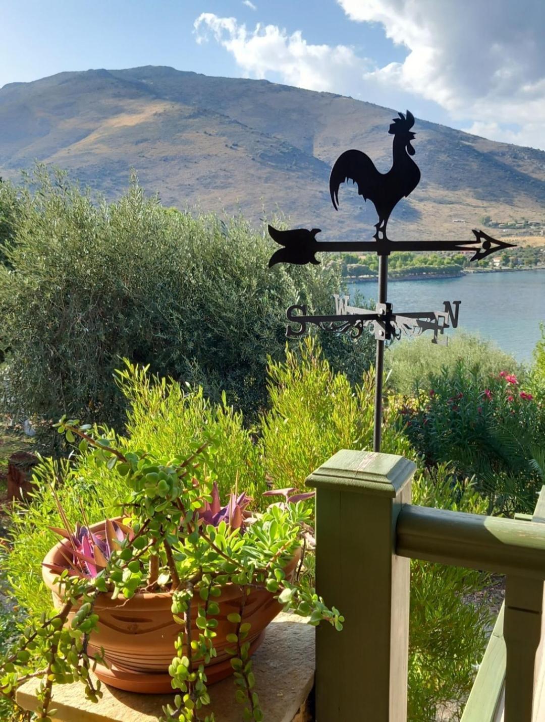 Aphrodite'S Coast Retreat House! Galaxidi Bagian luar foto