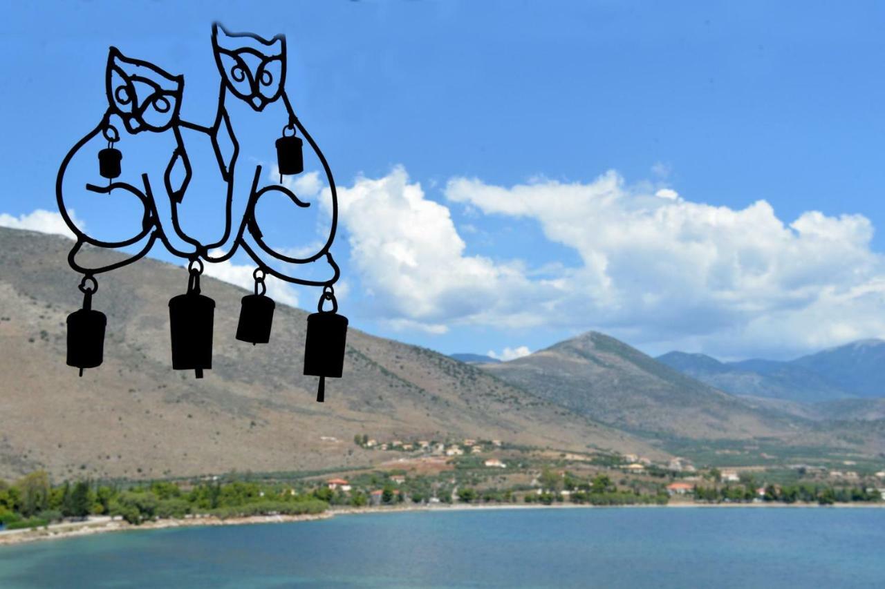 Aphrodite'S Coast Retreat House! Galaxidi Bagian luar foto