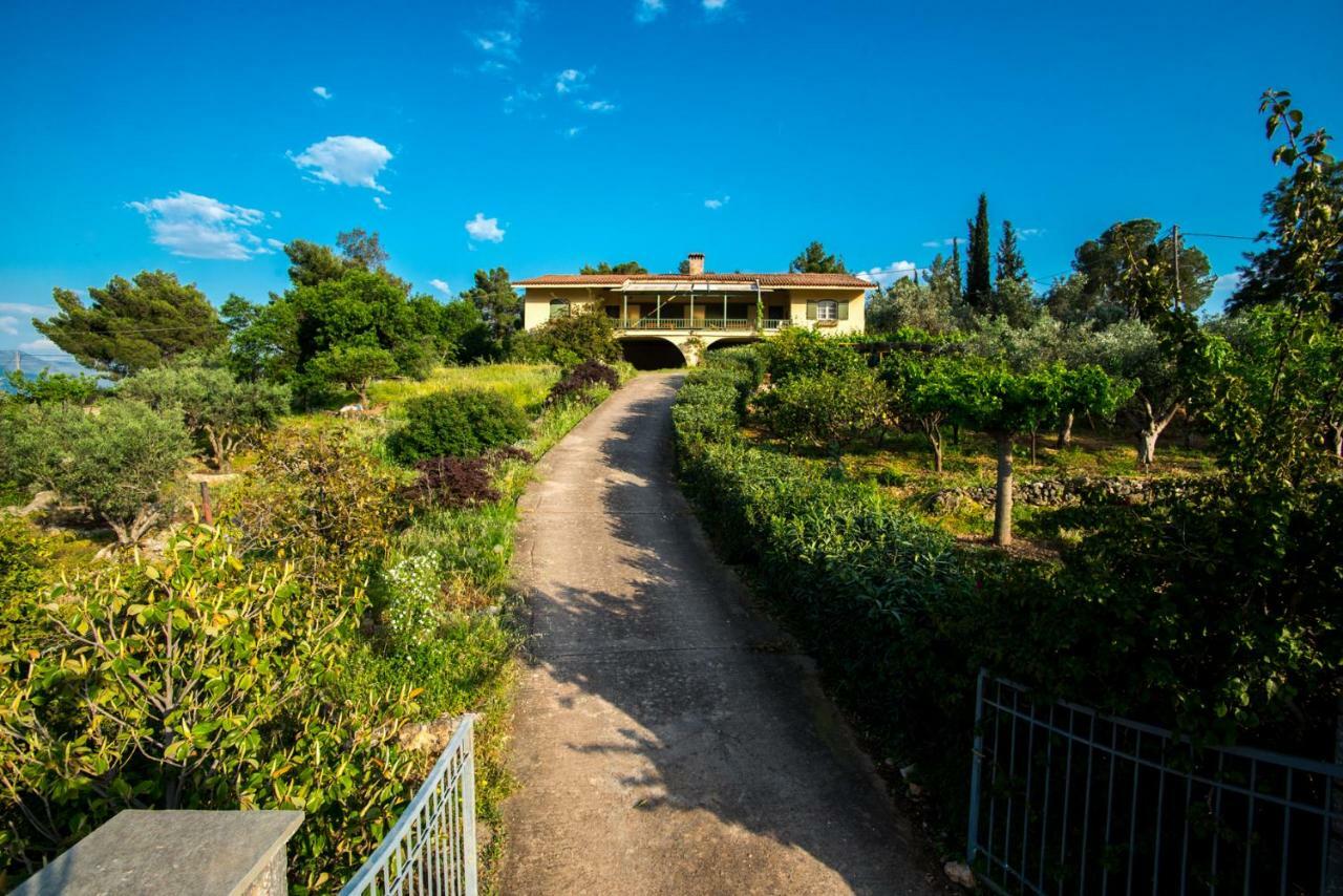 Aphrodite'S Coast Retreat House! Galaxidi Bagian luar foto