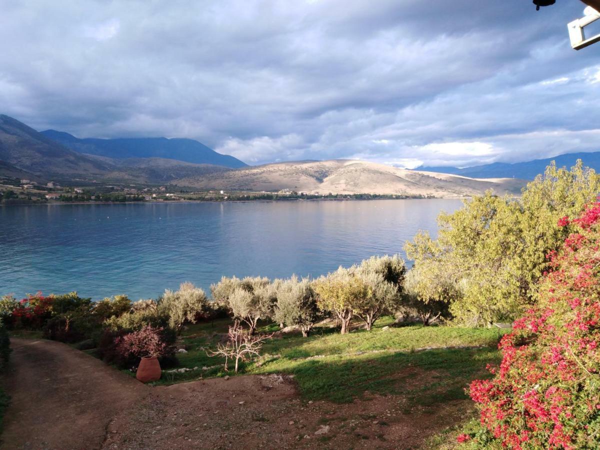 Aphrodite'S Coast Retreat House! Galaxidi Bagian luar foto
