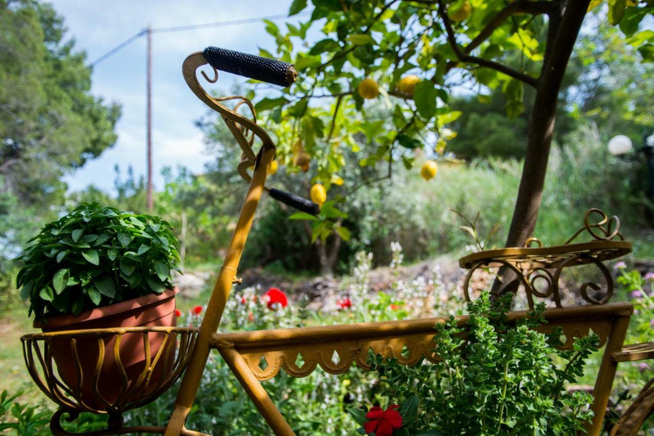 Aphrodite'S Coast Retreat House! Galaxidi Bagian luar foto