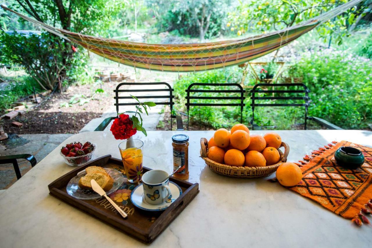 Aphrodite'S Coast Retreat House! Galaxidi Bagian luar foto