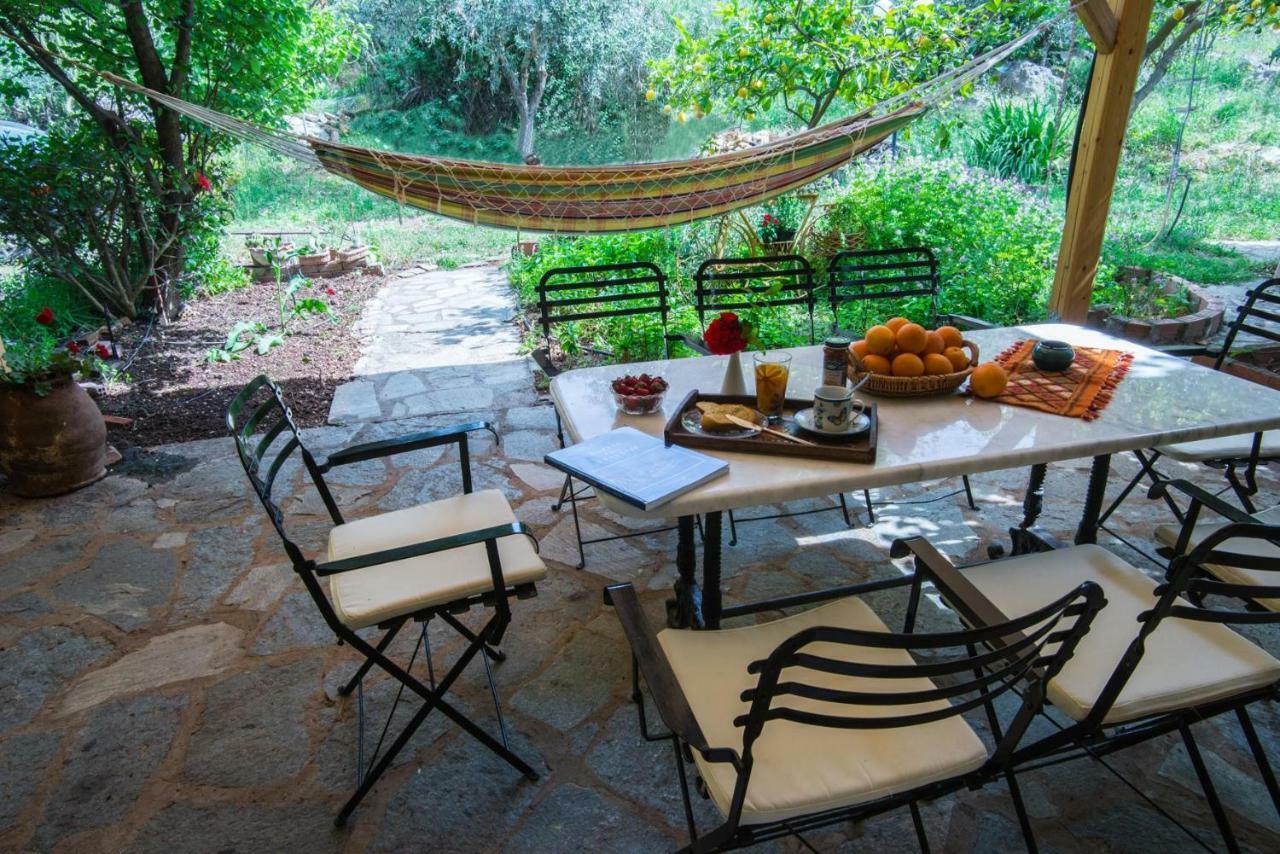 Aphrodite'S Coast Retreat House! Galaxidi Bagian luar foto